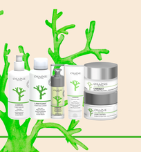 Load image into Gallery viewer, Lamimask