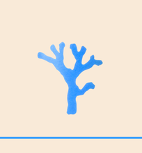 Load image into Gallery viewer, Omega Cleanser
